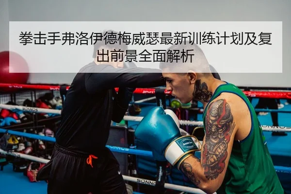 拳击手弗洛伊德梅威瑟最新训练计划及复出前景全面解析